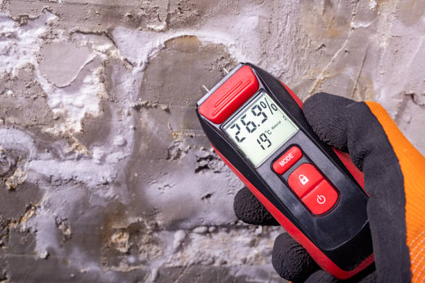 Best Water Damage Restoration  in Warren, PA